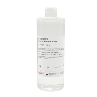 PH0403 | 10×快速转膜液 / 10×Rapid Transfer Buffer