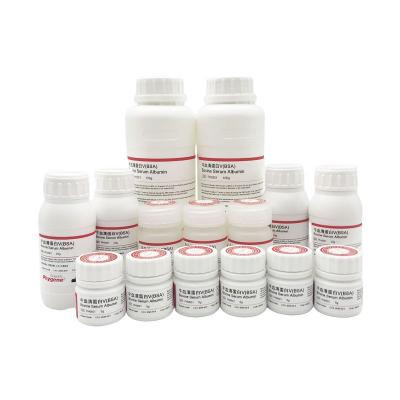 PH0501 | 牛血清蛋白V（Bovine Serum Albumin BSA）CAS号：9048-46-8